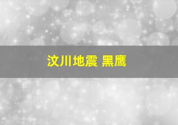 汶川地震 黑鹰